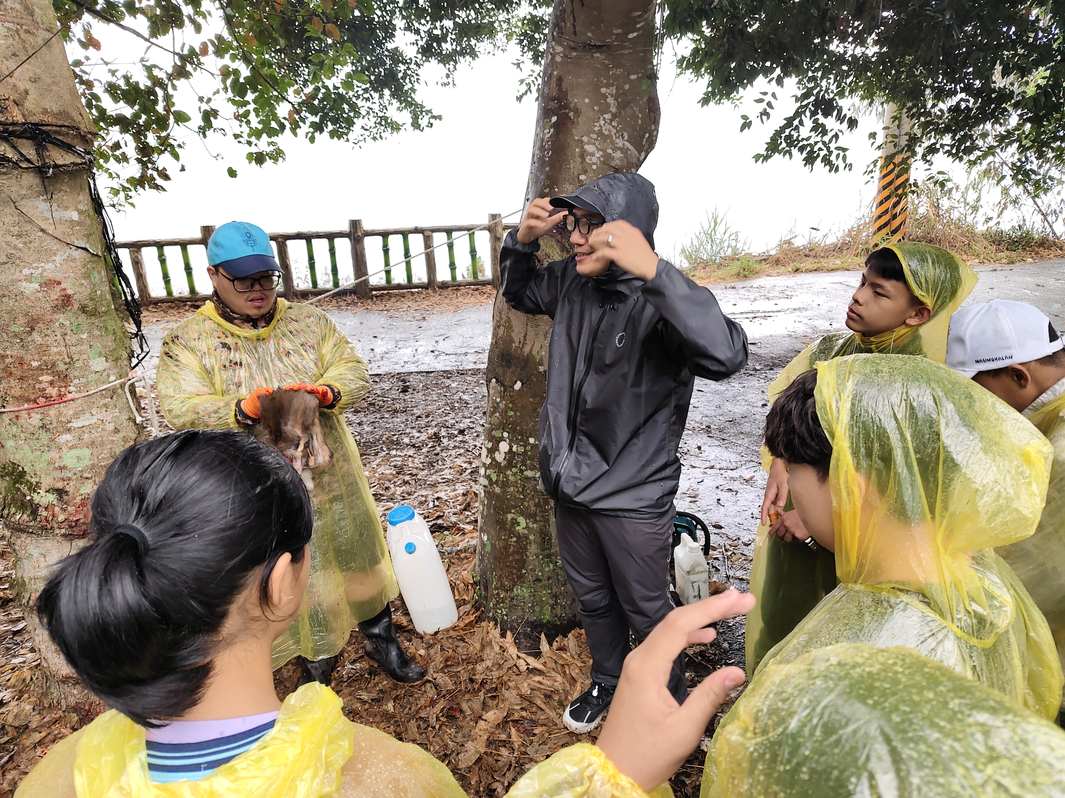 IMG 20260304 083251 0