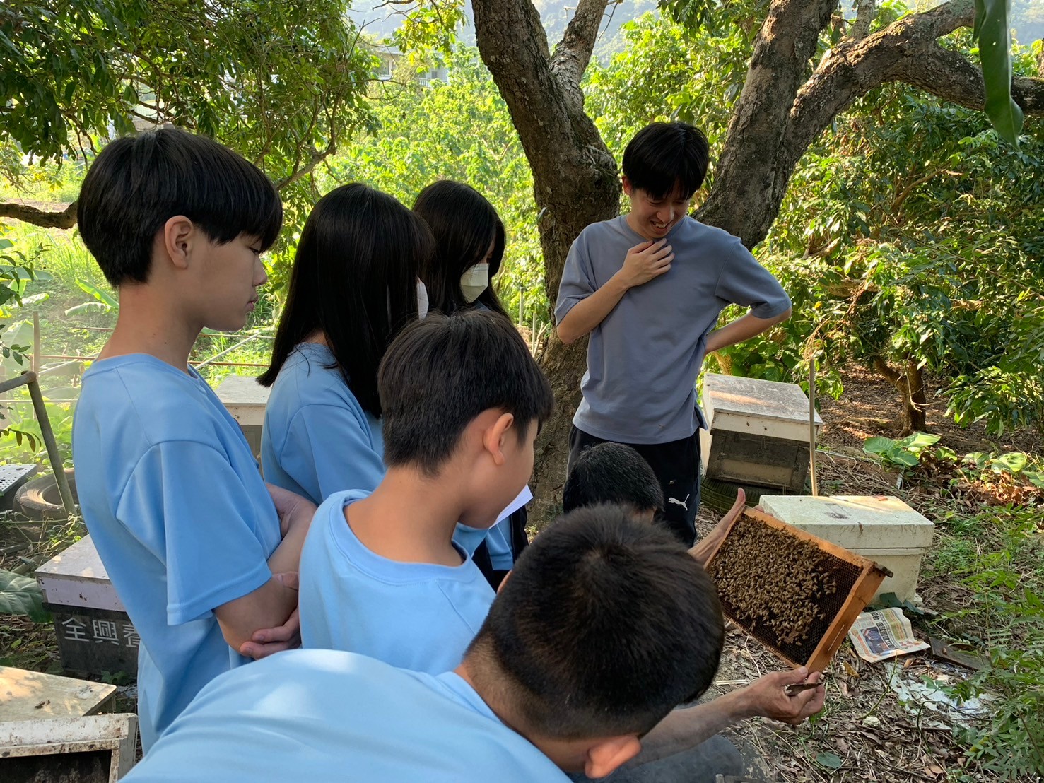 LINE ALBUM 1129 Class Activity 251218 1