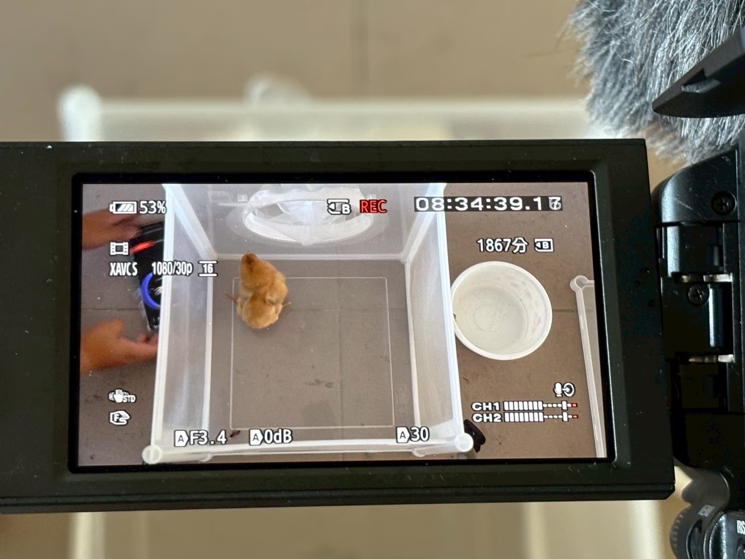 LINE ALBUM 2025田寮科展 251218 1