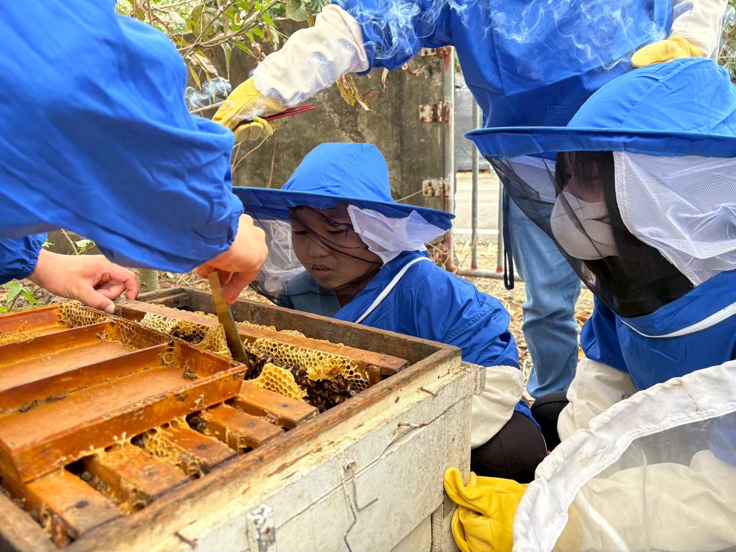 LINE ALBUM 2025田寮科展 251218 2