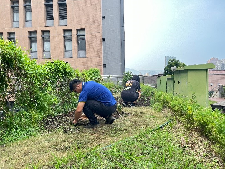 113 1 3工讀生中草藥植物教學示範區整地雜草清除2