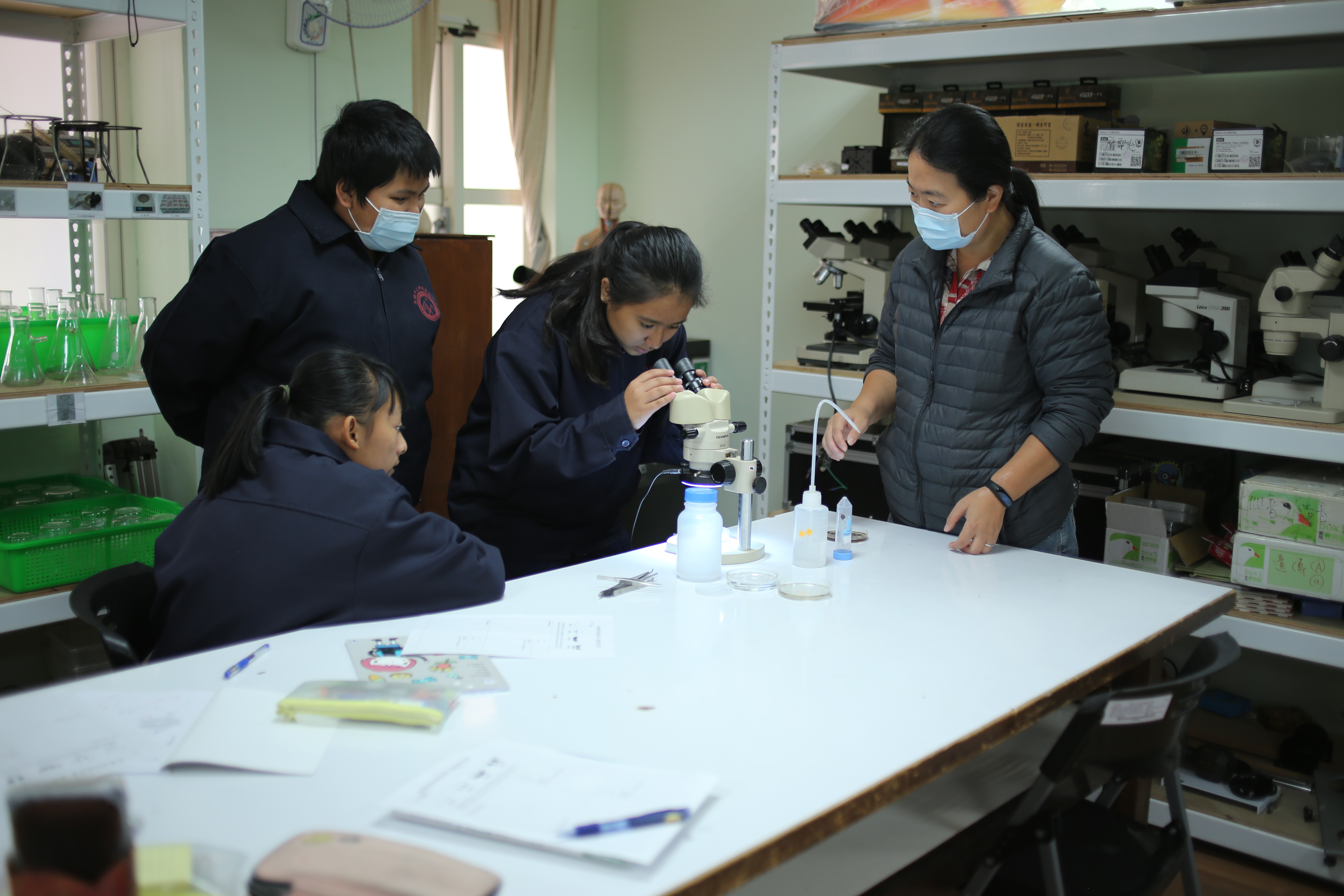 學生利用顯微鏡觀察昆蟲的特徵