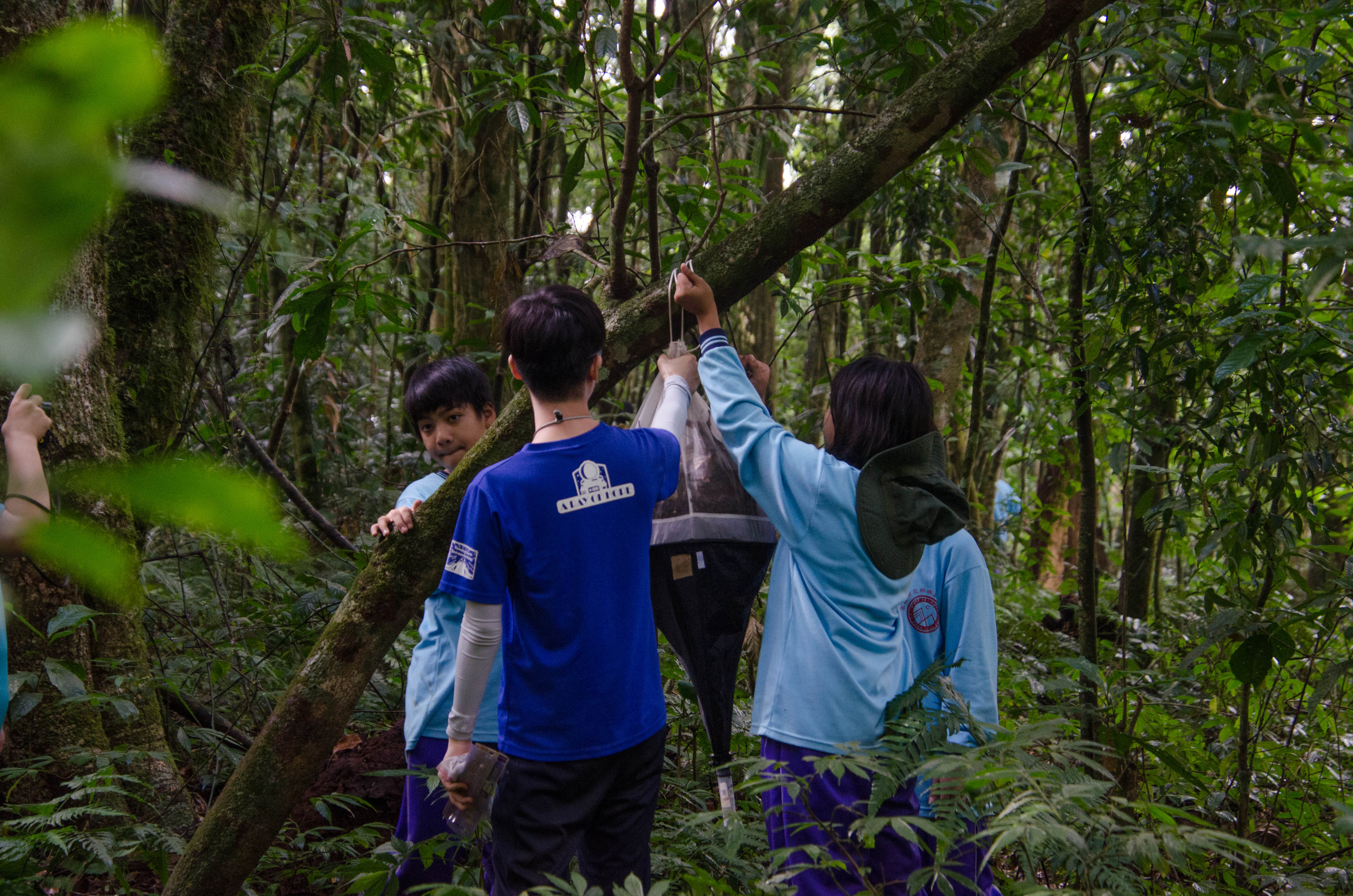 路途中帶著學生實際在山林中架設昆蟲陷阱