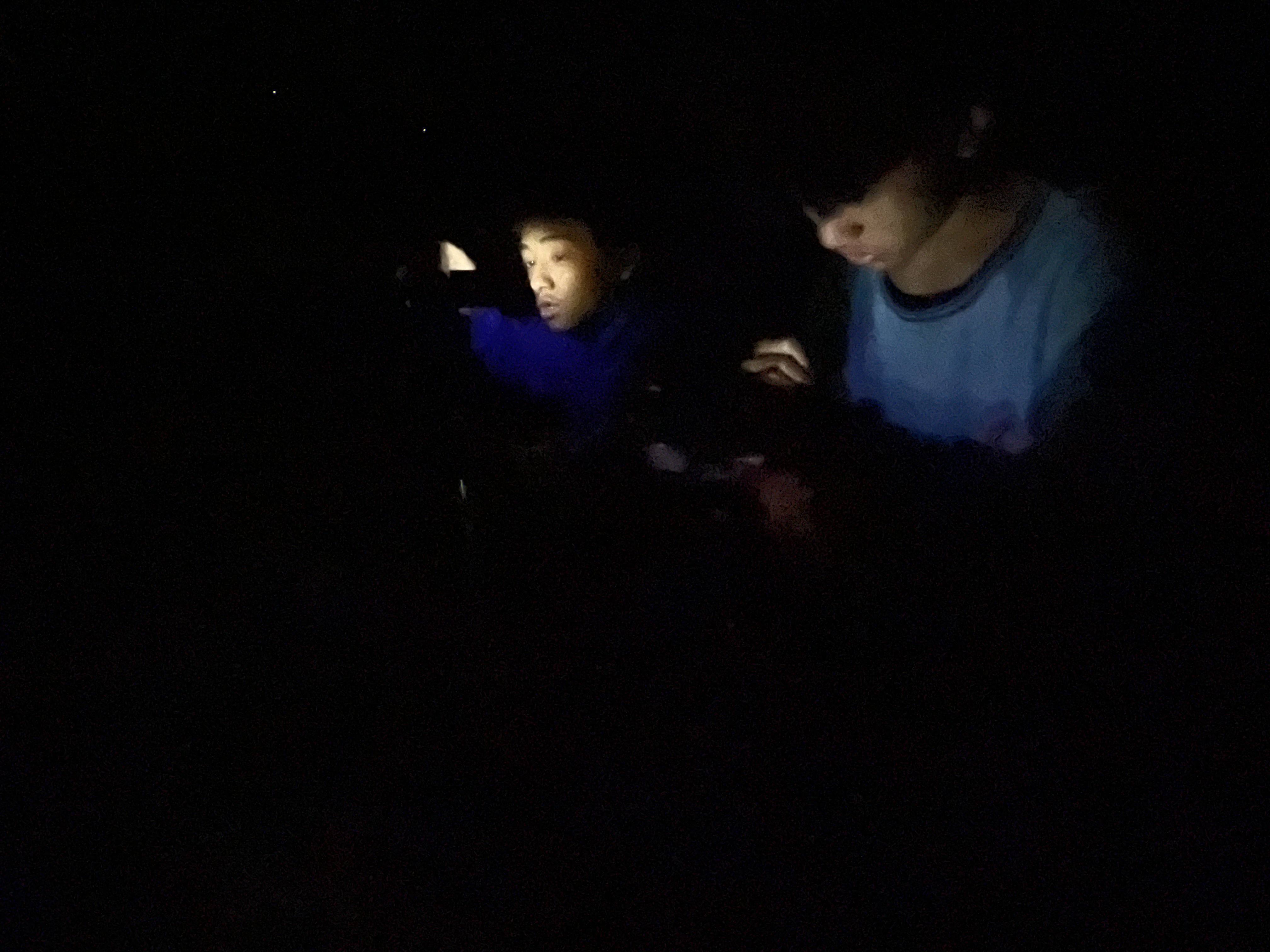 學生使用錄影機紀錄夜晚的黑翅營閃爍頻率