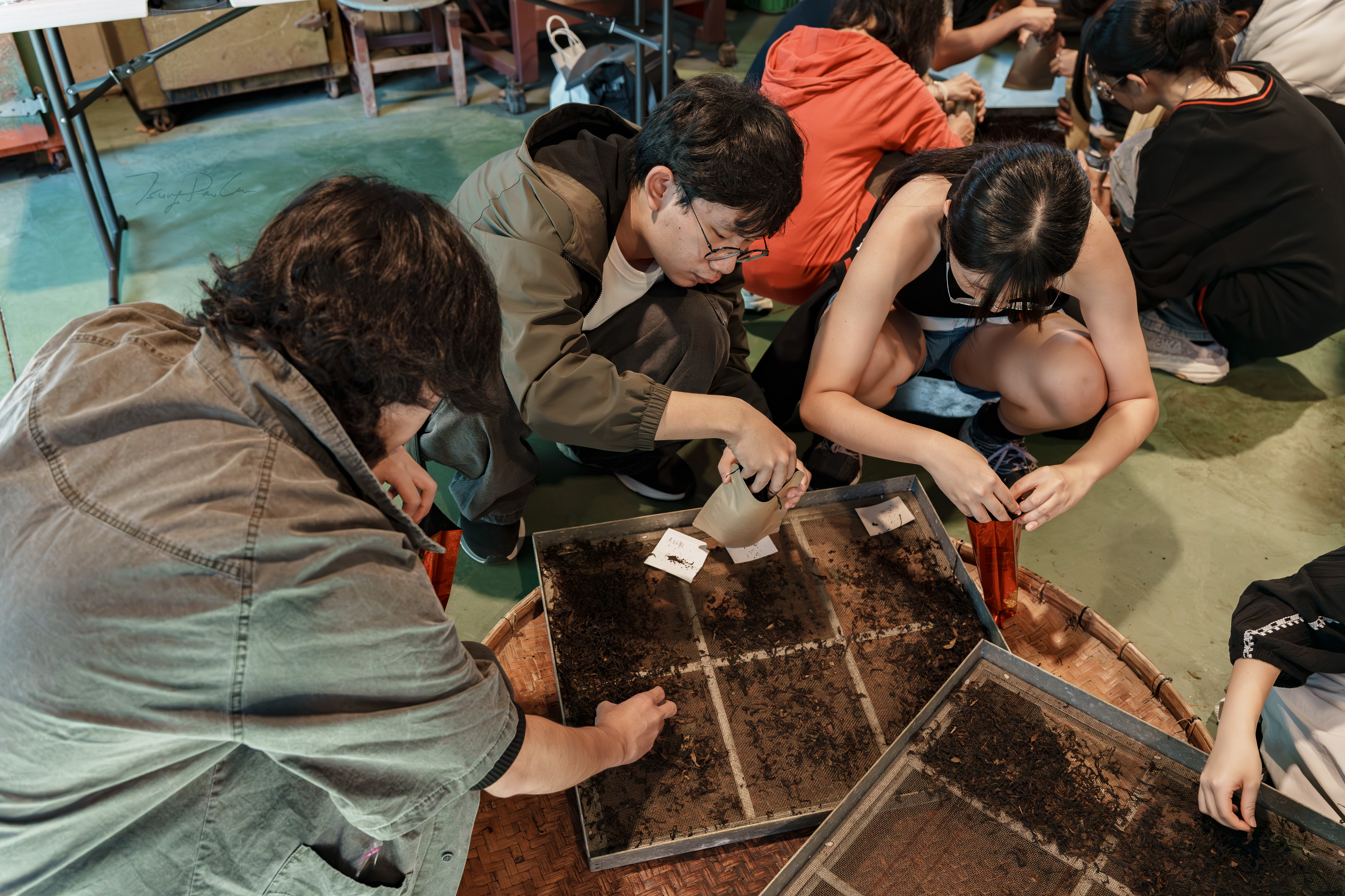 DSC01606 已增強 NR